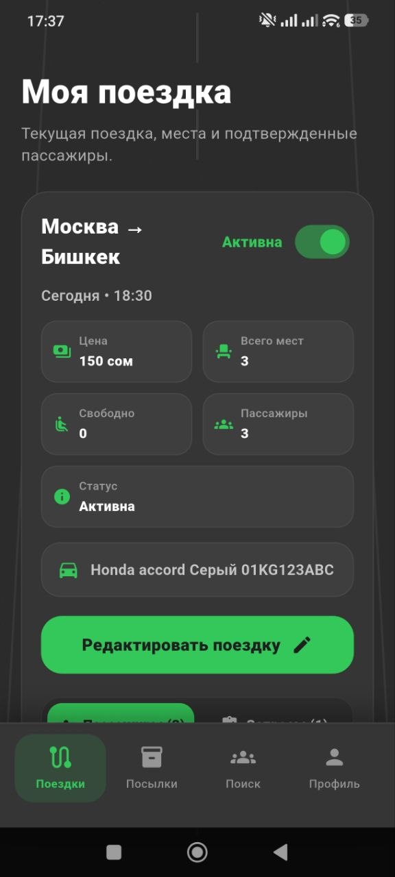 Экран моей поездки водителя